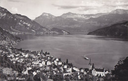 Suisse - Weggis - Panorama - 1958 - Weggis