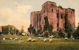 Coventry, Kenilworth Castle, The Keep, Sheep - Coventry