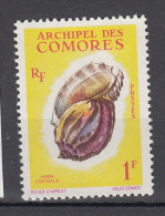 Comoren 1962 Mi Nr 43  Shell, Schelp - Unused Stamps