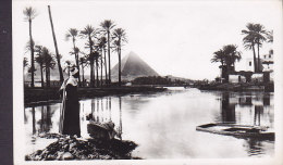 Egypte CPA Cairo Flood Time Near Pyramids 1960 Echte Real Photo Véritable (2 Scans) - Pyramiden