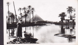 Egypte CPA Cairo Flood Time Near Pyramids 1960 Echte Real Photo Véritable (2 Scans) - Pyramids