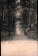 Boitsfort - Chaussée De La Hulpe - Watermael-Boitsfort - Watermaal-Bosvoorde