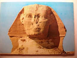 Carte Postale Egypte Gizeh The Head Of Famous Sphinx (circulée Voir Timbre) - Guiza