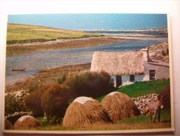 Carte Postale Royaume Uni Ireland Connemara (oblitérée 1986 Voir Timbre) - Autres & Non Classés