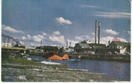 Fairbanks AK, Chena River View, Seaplane Float Plane On River, C1950s Vintage Postcard - Fairbanks