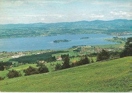 Feusisberg - Blick Auf Den Zürichsee  (3 Bilder)              1969 - Feusisberg