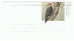 ENTIER POSTAL  CANADA GRAND PIC - Piciformes (pájaros Carpinteros)