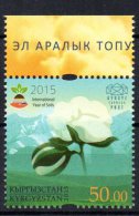 KIRGHIZISTAN - KYRGYZSTAN - INTERNATIONAL YEAR OF SOILS - FLEUR DE COTON - COTON FLOWER - 2015 - - Kirghizistan