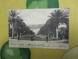 1909 MONTE CARLO Le Boulingrin Edizione A.F. Animata Viaggiata - Exotische Tuin