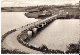 ROBERTVILLE  (4950) : Vallée De La Warche - Le Pont De Haelen. CPSM. - Weismes