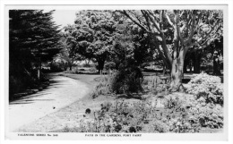 RB 1069 -  Real Photo Postcard - Port Fairy Gardens - Victoria Australia - Other & Unclassified