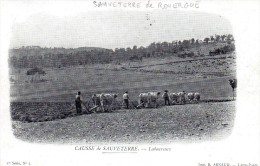 12 - SAUVETERRE DE ROUERGUE - Laboureurs - Autres & Non Classés