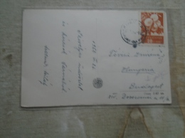 Wretsling - VARNA  - BULGARIA   - Matura Mihály   Trainer  Hungary Written And   Signed   1960  D133604 - Worstelen