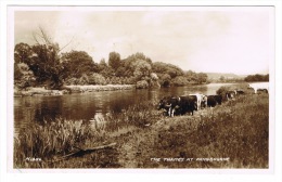 RB 1070 - Real Photo Postcard - River Thames At Pangbourne Near Reading Berkshire - Reading