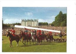 Cpm 612277 Le Haras Du Pin , Vènerie Dans Le Cadre De La Fête Du Cheval 1978 - Exmes