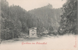 AK Gasthof Im Polenztal Sächsische Schweiz Bei Hohnstein Rathewalde Waitzdorf Rathmannsdorf Schandau Polenz Heeselicht - Hohnstein (Sächs. Schweiz)