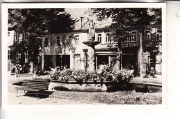 0-6056 SCHLEUSINGEN, Marktbrunnen - Schleusingen