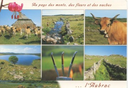 L'Aubrac : Au Pays Des Monts Des Fleurs Des Vaches...(ed Bos) Multivues - Altri Comuni