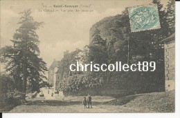 Carte Postale : Saint Sauveur - Le  Château- Vue Prise Des Communs - Saint Sauveur En Puisaye