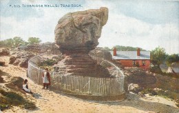 TUNBRIBGE WELLS TOAD ROCK ROYAUME UNI ANGLETERRE ENGLAND - Wells