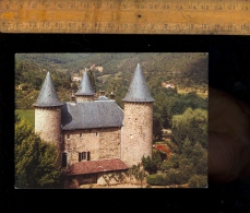 CHAMBORIGAUD Gard 30 : Le Château De Montjoye XIVe Siècle - Chamborigaud