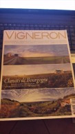 Vigneron 16 - Jardinería