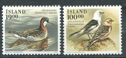 151 ISLANDE 1989 - Oiseaux (Yvert 650/51) Neuf ** (MNH) Sans Trace De Charniere - Ongebruikt