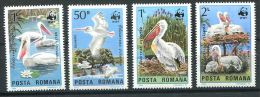 151 ROUMANIE 1984 - Oiseau Pelican WWF (Yvert 3543/46) Neuf ** (MNH) Sans Trace De Charniere - Nuevos