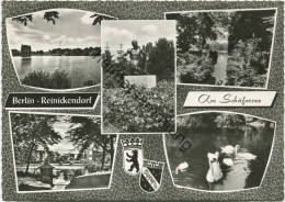 Berlin-Reinickendorf - Am Schäfersee - Foto-AK Grossformat - Verlag Kunst Und Bild Berlin - Reinickendorf