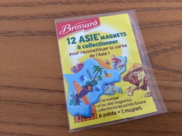 Magnet Brossard  Série 12 ASIE Magnet (TAÏWAN, PHILIPPINES, Perroquet) - Magnets