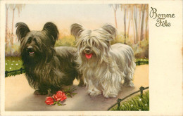 Animaux - Chiens - Chien - Dogs - Dog - Illustrateurs - Illustrateur - Bonne Année - Nouvel An - Fleurs - Roses - état - Chiens