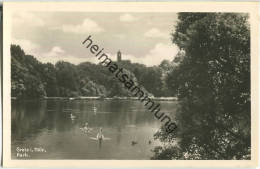 Greiz - Parksee - Foto-Ansichtskarte - Verlag Trinks & Co Leipzig - Greiz