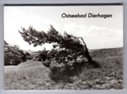 Dierhagen - S/w Leporello + 7 Kleinbildfotos - Fischland/Darss