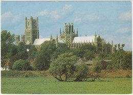 Ely Cathedral From The South East, Cambridgeshire. Unposted - Ely