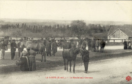 CPA (28)   LA LOUPE Le Marché Aux Chevaux - La Loupe