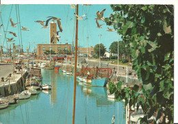 Fano (Pesaro) Porto Canale Con Barche Da Pesca, Channel Harbour With Fishing Boats, Port Canal, Kanal Hafen - Fano