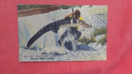 - Florida> Silver Springs Ross Allen Versus Alligator     2100 - Silver Springs