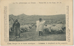 Lebanon A Shepherd On The Summits Liban Un Berger Felt Cloth Manteau En Feutre - Liban