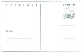 67272) Intero Postale Da 170ò-margherite -nuova - Postal Stationery