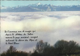 Le Mont Salève - Alt. 1380 M. - Mer De Nuages Et Panorama Sur La Chaîne Du Mont-Blanc - Other & Unclassified