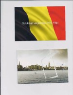 Belgie - Belgique 3985 + 3990 Op 2 Kaarten - Antverpia 2010 - Ongebruikt - Cartas Commemorativas - Emisiones Comunes [HK]