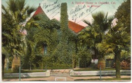 Etats Unis. A Typical Home In Oakland In Winter - Oakland