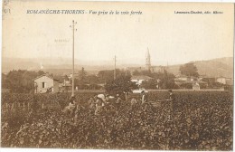 ROMANECHE THORINS (71) Vue Prise De La Voie Ferrée Vendanges - Andere & Zonder Classificatie