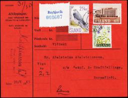 1960. Islandic Falcon. 25 Kr. Fylgibréf. REYKJAVIK 10.VI.63. (Michel: 339) - JF180946 - Storia Postale