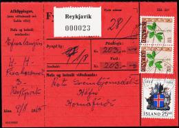 1964. Wappen Islands. 25 Kr.  Fylgibréf. Verd 203 Kr. REYKJAVIK 10.VIII.1965. (Michel: 380) - JF180956 - Brieven En Documenten