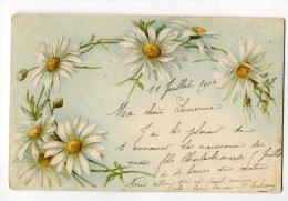 Ref 197 - Carte De NAISSANCE De 1904 - CARTE PIONNIERE - Scan Du Verso - Birth