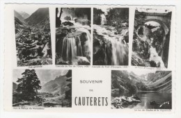 65 - Cauterets          Souvenir          Multivues - Cauterets
