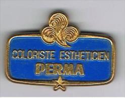 Broche    Coloriste  Esthéticien   PERMA  4.7 Cm X 3.5cm - Spille