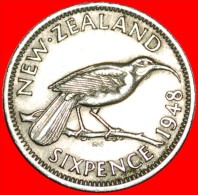 + BIRD: NEW ZEALAND ★ 6 PENCE 1948! LOW START ★ NO RESERVE!  George VI (1937-1952) - Nouvelle-Zélande