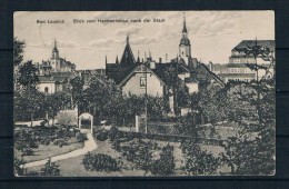 (1720) AK Bad Lausick - Blick Vom Hermannsbad Nach Der Stadt - Bad Lausick